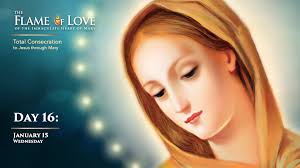 Day 16: From True Devotion To the Blessed Virgin Mary, No. 228 Preparatory  Exercises During the first week they should offer up all their prayers and  acts of devotion to acquire knowledge