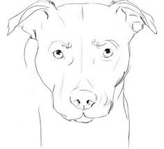 Super dog training academy edinburgh, dog barking training, youtube how to stop puppy play biting, dog nutrition, how to draw a pitbull dog face after the parliament recognized what they were using these dogs for it was then passed as being a form of animal cruelty and banned bull baiting completely. Anatamation Where Anatomy Meets Animation Dog Anatomy Pitbull Drawing Dog Outline Dog Coloring Page