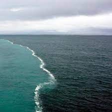 2 Oceans Meet But Don T Mix Fact But Phenomenon Pic Shows 2 Different Ocean Water Bodies Meeting In Middle Of Alaskan Gul Two Oceans Meet Gulf Of Alaska Ocean