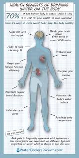 Omega oils are the fatty acids found in foods like fish, fish oil and flaxseed. Health Benefits Of Drinking Water Water Coolers Direct