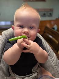 Taylor Keli Borkowski