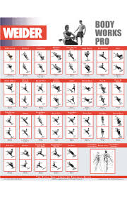 Weider Ultimate Body Works Workout Guide Pdf