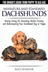 We found 273 'dachshund for sale or rescue' adverts for you in 'dogs and puppies', in the uk and ireland. Dachshunds The Owner S Guide From Puppy To Old Age Choosing Caring For Grooming Health Training And Understanding Your Standard Or Miniature Dachshund Dog Alex Seymour 9781910677056