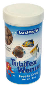 Tubifex Worms A-Z Full Guide | How To Culture Tubifex Worms | Tubifex Worms  Culture Without Starter - Youtube