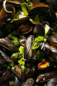 We did not find results for: Steamed Mussels Easy Yummy Clean Eating Homenaturallymade