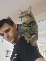 Hair in food from delivery