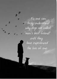 No One Can Truly Understand Why Dogs Are Called Mans Best Friend Until They Have Experienced The Loss Of One Dog Poems Pets Pet Loss Grief