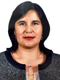 Personal Docente e Investigadores TP/MT