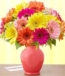 My Favorite Flower I Love The Bright Cheerful Colors Of Gerbera Daisies Orange Being My Favorite Of Course Daisy Bouquet Wedding Gerbera Daisy Bouquet Daisy Wedding