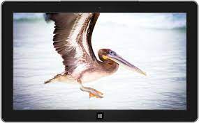 Community Showcase Fauna 2 Theme Microsoft Windows Birds Wallpaper Hd Bird Wallpaper Desktop Background Images