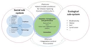 Check spelling or type a new query. Sustainability Free Full Text Resilience In Retrospective The Trajectory Of Agro Pastoral Systems In The Centro Region Of Portugal Html