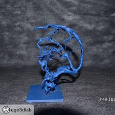 Repost Ege3dlab Beyin Venoz Sinus Modeli Brain Venous Sinus Model 3d 3dprinter 3dprinting Medical3dprinting Medicin 3d Printing Brain Surgery Sinusitis