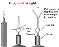 Walmart.com has been visited by 1m+ users in the past month Tackle Drop Shotting For Perch And Drop Shot Fishing Set Up
