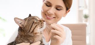 Oral Flea Medicine for Cats: 4 Vet-Prescribed Choices