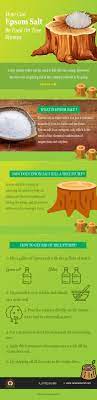 First, you will need to drill some holes on the surface of the stump to the solution will penetrate the stump. How To Kill A Tree Stump Tree Stump Killer Guide
