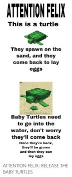 Sea turtle babies do spawn in minecraft, but waiting to run into five baby turtles can take a while. Baby Turtles Minecraft Ilmu Pengetahuan 5