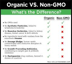 10 reasons why you should choose the organic food label over