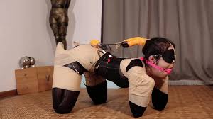 BoundHub - Chinese bondage k9 dog girl 路由