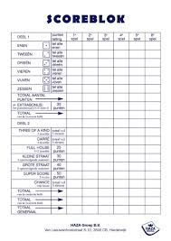 Haza Original Bloc De Partition Yahtzee 50 Feuille Billes Et Accessoires Divers Achat Prix Fnac