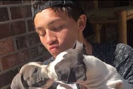 Fundraiser by Brittaney Davila-Hurst : Jeremiah Edgar David Davila-Hurst