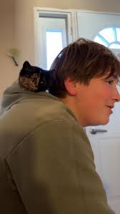 UPDATE SHE HAS BEEN RESCUED…….Please someone come rescue this poor baby she  so scared and cold it's snowing and I'm afraid she won't make it out there  she been under my sisters