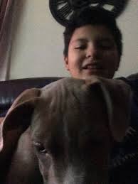 Patrick Garrido (@thepittbullface)