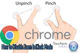 How To Pinch Zoom Expand And Minimise In Google Chrome Touchpromedia Blog
