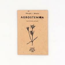 Image result for Agrostemma