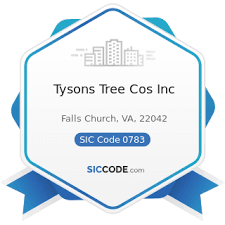 12011 government center parkway suite 836 fairfax, va 22035. Tysons Tree Cos Inc Zip 22042 Naics 561730 Sic 0783