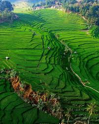 Kembali ke kawasan nusa tenggara timur, terdapat sebuah daerah yang memiliki keindahan alam berupa pemandangan bintang ketika malam hari. Pagi Majalengka Semangat Beraktivitas Baraya Foto Lensakelvin Lokasi Desa Bantaragung Kec Sindangwangi Aerial Nature Pemandangan Pedesaan Liverpool