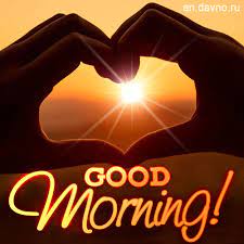 Library card number or ez username pin (last 4 digits of your phone number, stokes brown is the last 4 of your card) or ez password 25 Best Looking For Good Morning Beautiful Sunrise Gif Major League Wins