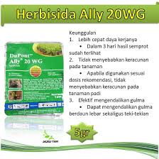 Trik lebih aman saat menanggulangi rumput pada tanaman padi. Herbisida Racun Rumput Ally 20wg 5 Gram Shopee Indonesia
