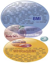 View current mortgage interest rates and recent rate trends. Recent Advances In Human Genetics And Epigenetics Of Adiposity Pathway To Precision Medicine Abstract Europe Pmc