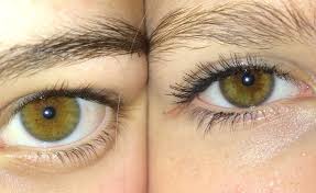 Messy Eyebrows Hazel Eyes Aesthetic Eyes Pretty Brown Eyes