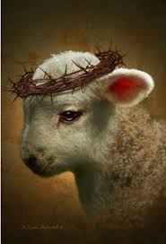 1280x1024 nativity lamb of god blessed mother jesus hd wallpaper. 49 Lion And Lamb Ideas Lion And Lamb Lion Lion Of Judah