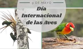 Quedan 236 días para finalizar el año. Cada 9 De Mayo Se Celebra Milenario Cerro De Montecristi Facebook