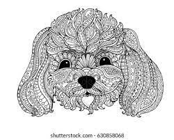 Find over 100+ of the best free teacup poodle images. Toy Poodle Zentangle Design Page Adult Stock Vector Royalty Free 630858068