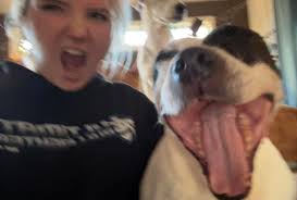 Our happy boi. We rescued him several weeks ago.