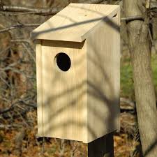 Heartwood Screech 21 In X 13 In X 9 5 In Owl House Bird House Bird Houses Decorative Bird Houses