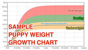 We have a fascinating and long running thread on our forum, where members enter the weights of their puppies at different ages. Puppy Weight Chart 2021 Estimate Your Puppy S Adult Weight The Goody Pet