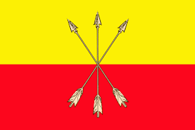 Bandera De La Comuna De Yumbel Region Del Bio Bio Bandera Banderas Regiones