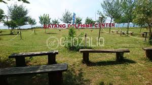 Total ada lebih 20 warung yang rusak karena diterjang angin. Batang Dolphins Center Kelas Jauh Taman Safari Untuk Wisata Edukasi Dan Rekreasi