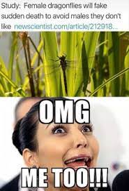 Top 31 Rainy Day Memes Quotes Words Sayings Really Funny Memes Funny Relatable Memes Really Funny