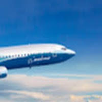 Traveller Reveals How To Sneak Free Bag Onto A Flight - Nz Herald