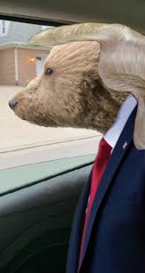 Bill Albright (@Bill__Albright)