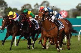 Image result for Handic 1600