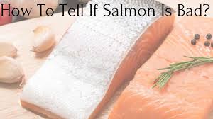 How To Tell If Salmon Is Bad Feast