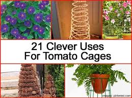Alibaba.com offers 2,917 diy pet cage products. 21 Clever Other Uses For Tomato Cages