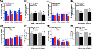 Check spelling or type a new query. Borrelia Burgdorferi Infection Dependent Suppression Of Neutrophil And Download Scientific Diagram