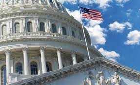 Understanding the United States Government